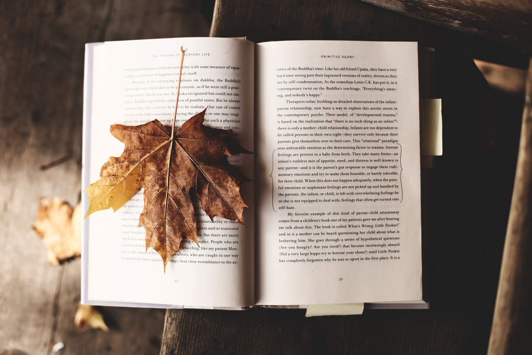 Book and a Leaf